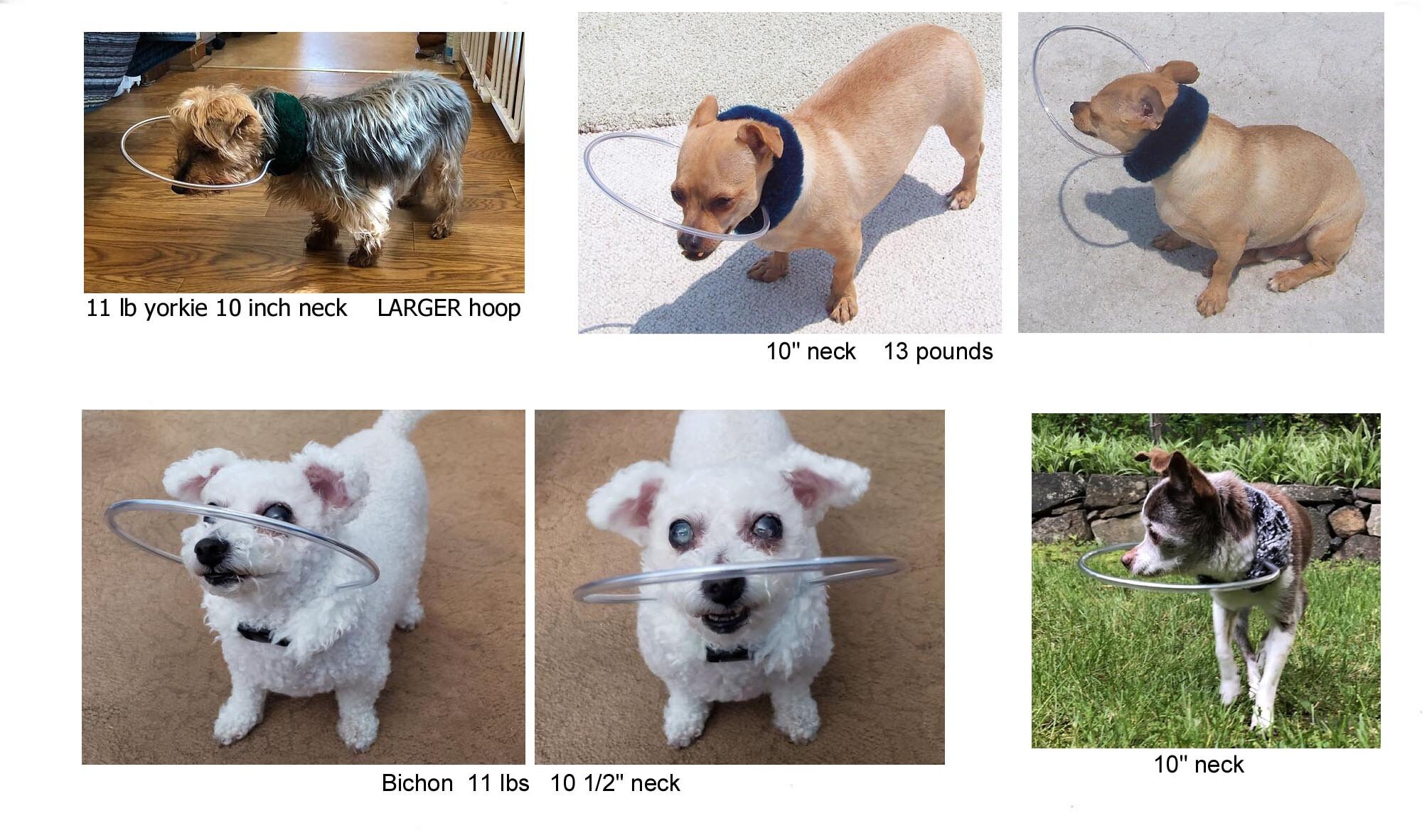 Blind Dog Bumper Collar 10 Neck Gray Swirl Minky Fur Etsy