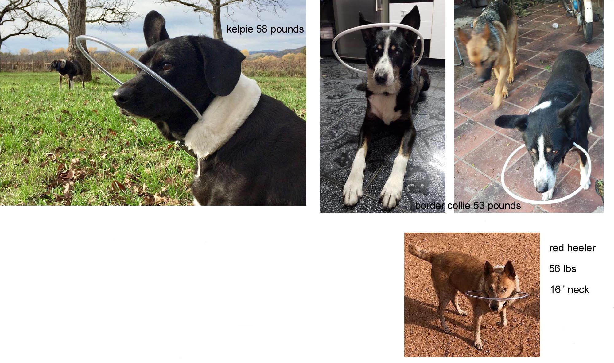 Blind Dog Bumper Collar 16 1/2 Neck Black Fur With Etsy