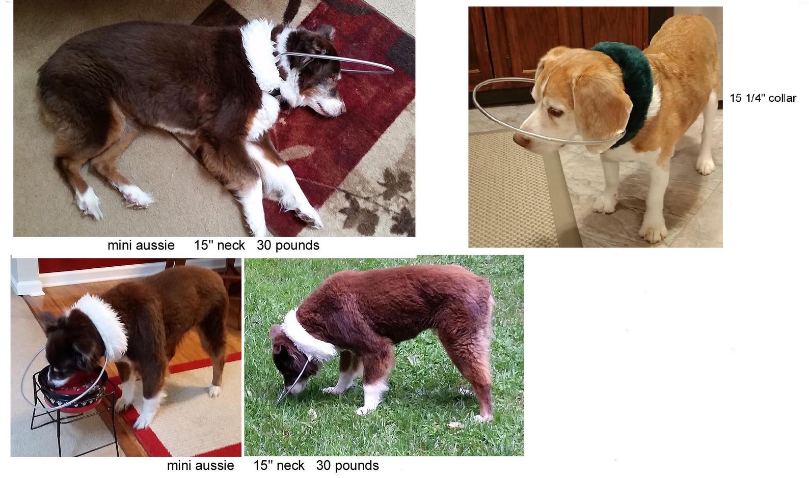 Blind Dog Bumper Collar 15 Neck Forest Green Fur With Etsy