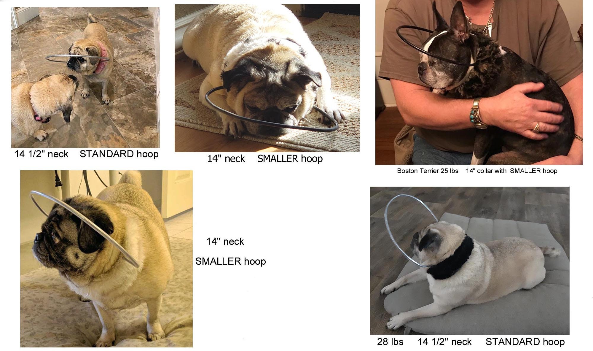 Blind Dog Bumper Collar 14 1/2 neck speckled white fur Etsy