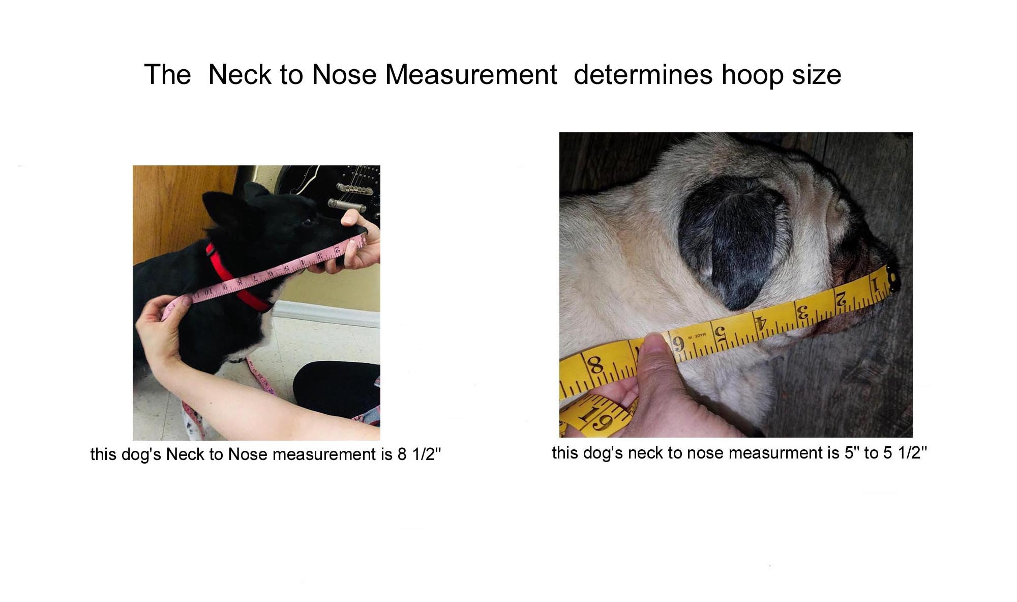 Blind Dog Bumper Collar 15" neck, forest green fur with LARGER hoop