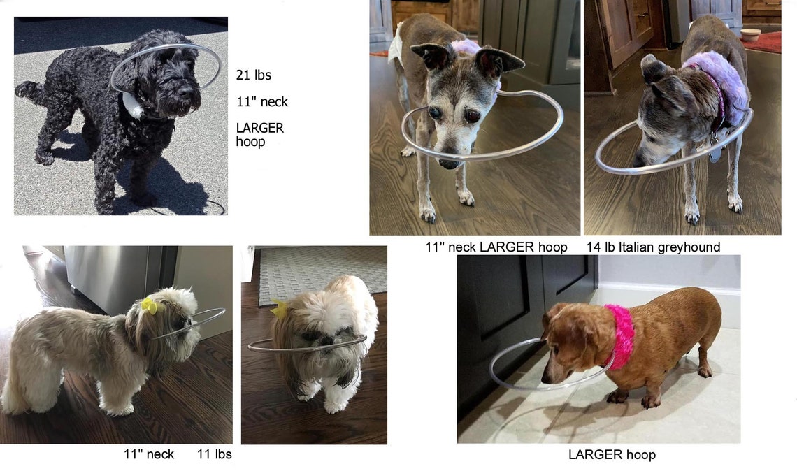 Blind Dog Bumper Collar 11 3/4 Neck Magenta Minky Fur Etsy