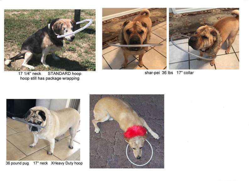 Blind Dog Bumper Collar 17 Neck White Fur With STANDARD Etsy