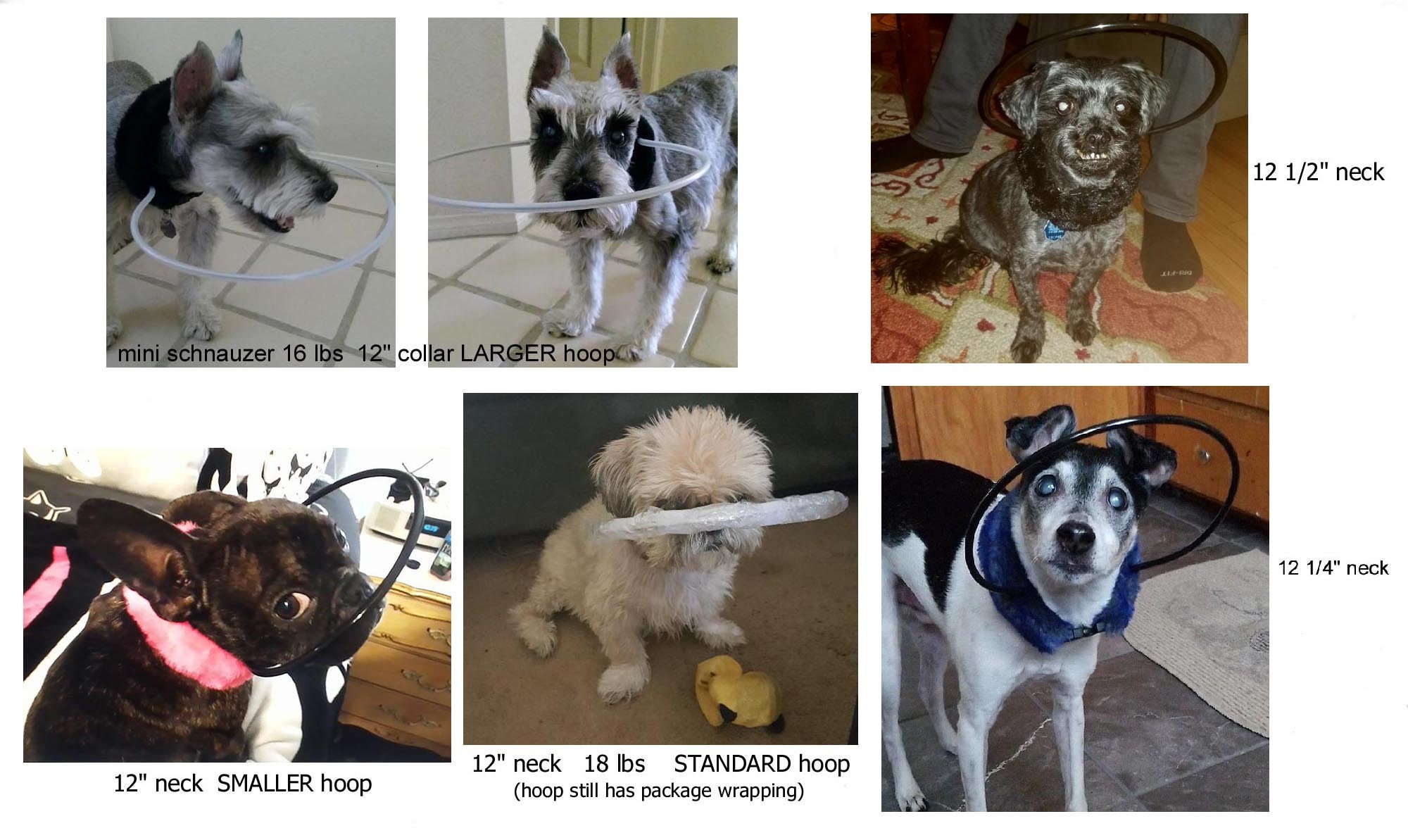 Blind Dog Bumper Collar 12 Neck Red Fur With STANDARD Etsy