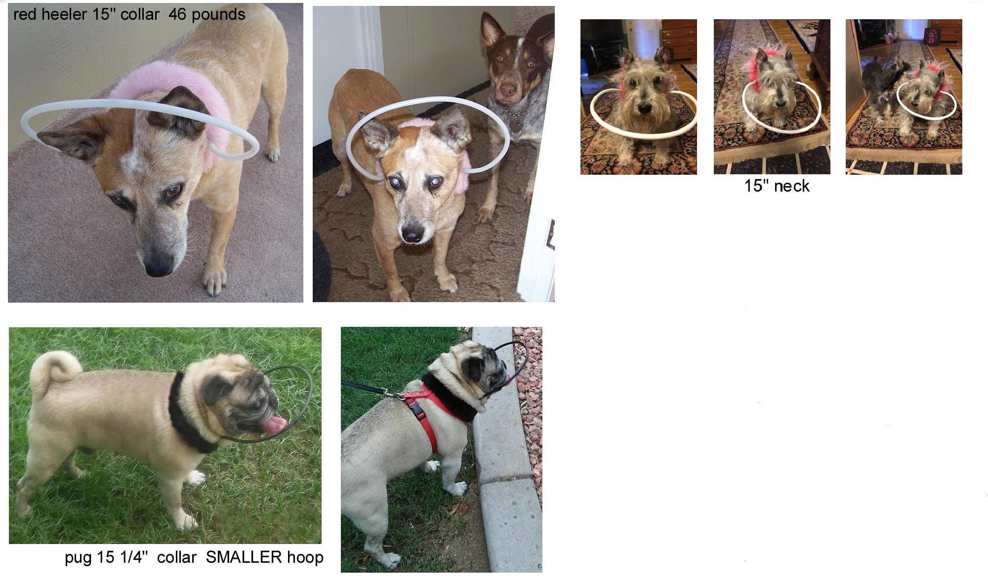 Blind Dog Bumper Collar 15 Neck Black Fur With SMALLER Etsy