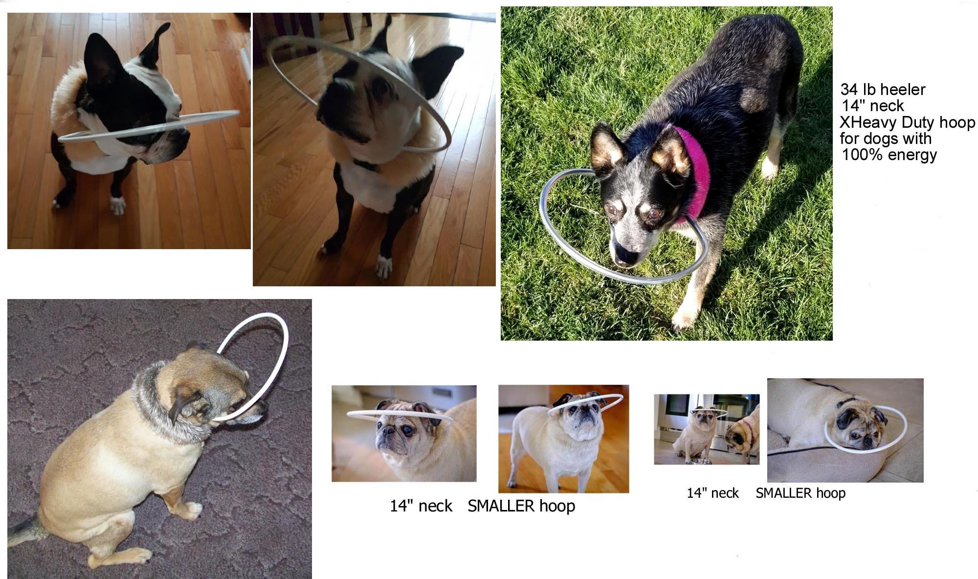 Blind Dog Bumper Collar 14 neck pink animal print fur Etsy