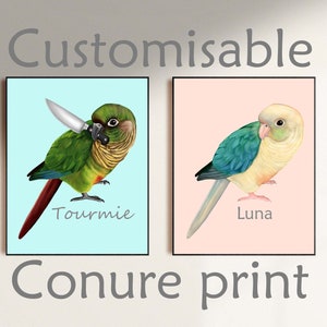 May include: Two customisable conure bird prints. The print on the left features a green conure with a knife in its beak, with the name "Tourmie" below. The print on the right features a blue and yellow conure with the name "Luna" below.