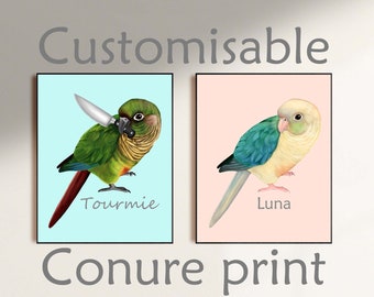 personalized conure print / stabby conure