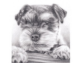 Custom pet portrait A5 / pencil pet drawing / art gift /  personalized pet memorial / dog portrait / cat drawing