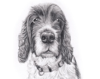 Custom pet portrait A4 / pencil pet drawing / art gift /  personalized pet memorial / dog portrait / cat drawing