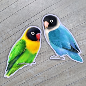adesivos de periquito / periquitos / periquitos mascarados / periquitos mascarados azuis / arte de periquito papagaio / birb / periquito de colarinho amarelo / pássaro