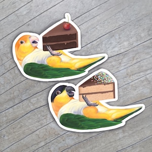 Caique Parrot with Cake Sticker or Magnet: Bird Art