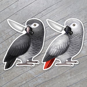 刺し傷のあるアフリカヨウムのステッカー / ナイフを持った鳥 / ティムネのアフリカヨウムのマグネット / コンゴのアフリカヨウム / ナイフを持った鳥