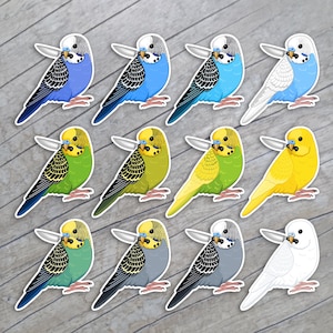 Stabby Wellensittich Aufkleber / Wellensittich / Wellensittich / Papagei Magnete Vogel Kunst