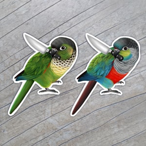 Sticker met zwarte puntige papegaaiachtigen / karmozijnrode dikbuikige mesparkieten / kunst papegaaivogels / slabbetjemagneet / vogels met messen