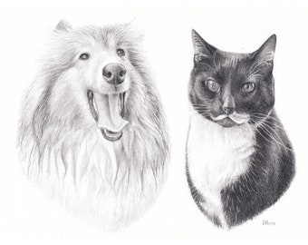 Custom A4 two pets / Custom pet portrait / pencil pet drawing / A4 art gift /  personalized pet memorial / dog portrait / cat drawing