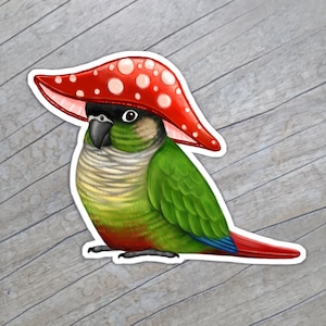 Sticker conure champignon / aimant conure chapeau champignon / joue verte du CCG / art oiseau perroquet / mignon bouleau