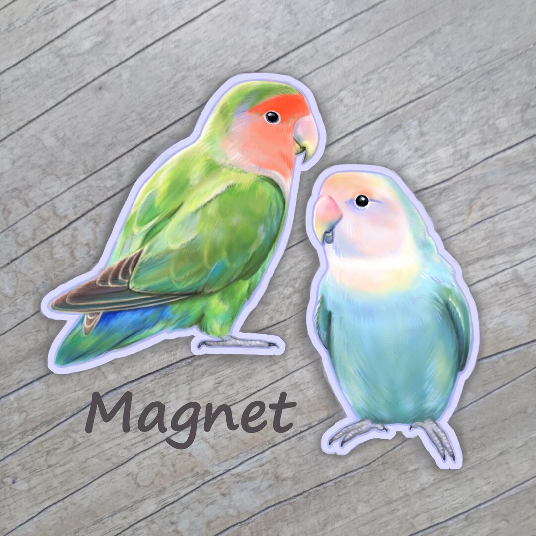 Lovebird Magnet / Lovebirds / Dutch Blue Peach Faced Lovebirds