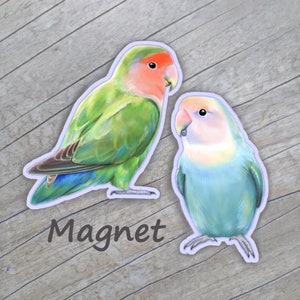 calamita per inseparabili / inseparabili / inseparabili blu olandesi dalla faccia di pesca / inseparabili dalla faccia di pesca / arte di inseparabili pappagallo / birb / San Valentino