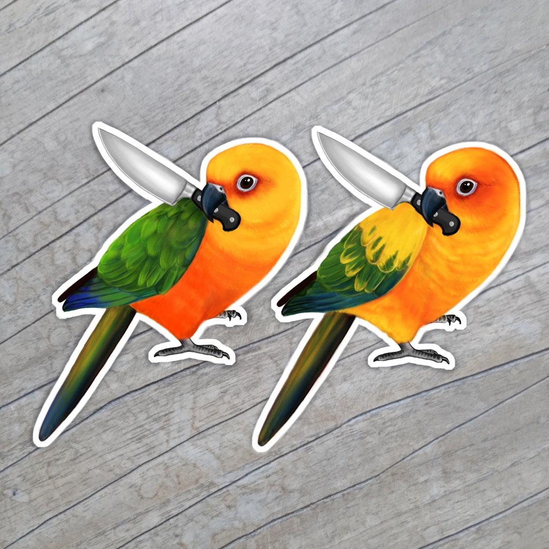 Stabby Sun Conure Sticker or Magnet - Parrot Bird Art - Etsy