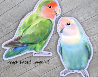 (取寄) ブランクニューヨーク レディース ラブ バーズ Blank NYC women Love Birds Multicolor il_340x270.3637605805_2xbi.jpg