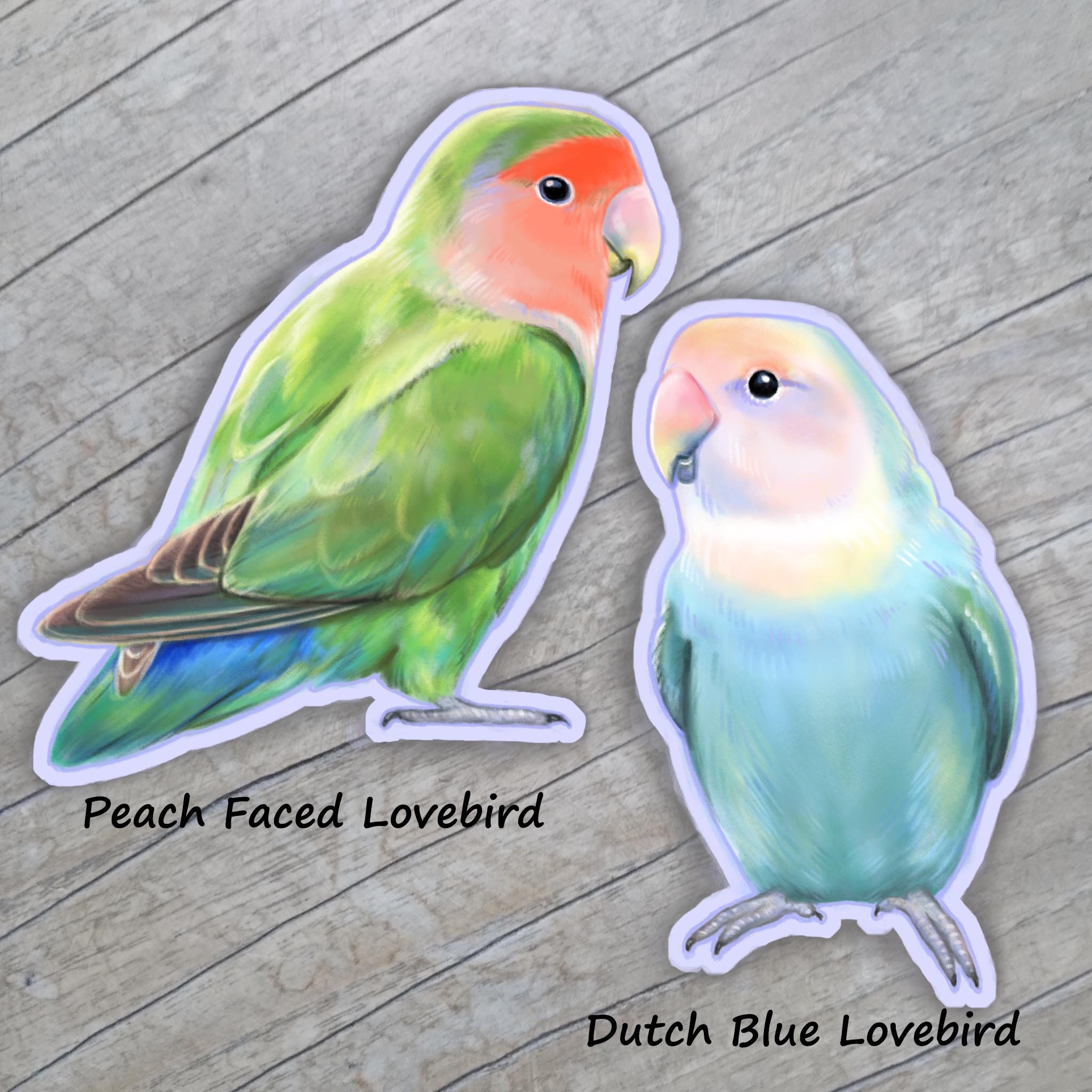 Blue Love Birds Images