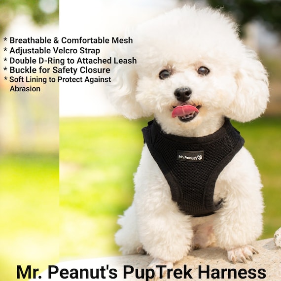 Small dog harness with velcro cheap closure