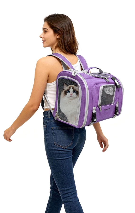 Mr. Peanut's Airline Capable Pet Carrier - Convertible...