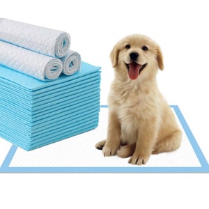 Mr. Peanut&#39;s Premium Absorbent Gel Pee Pads 23&quot;X23&quot;, 6 Layers of Scented Protection