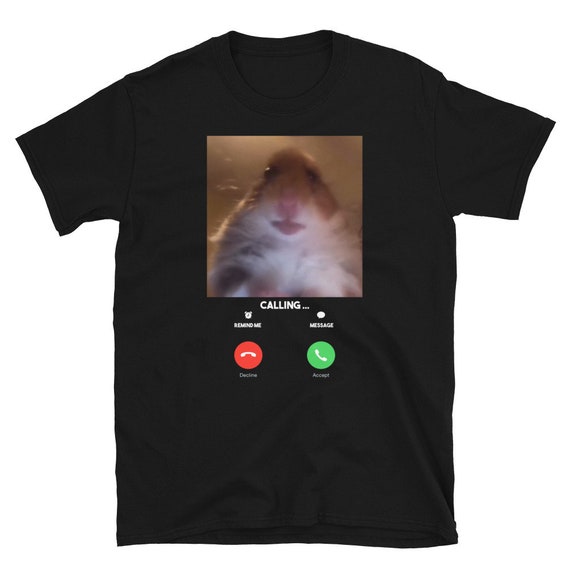 Hamster Staring Into Camera Meme
