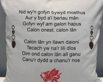 Calon Lan Welsh Cushion