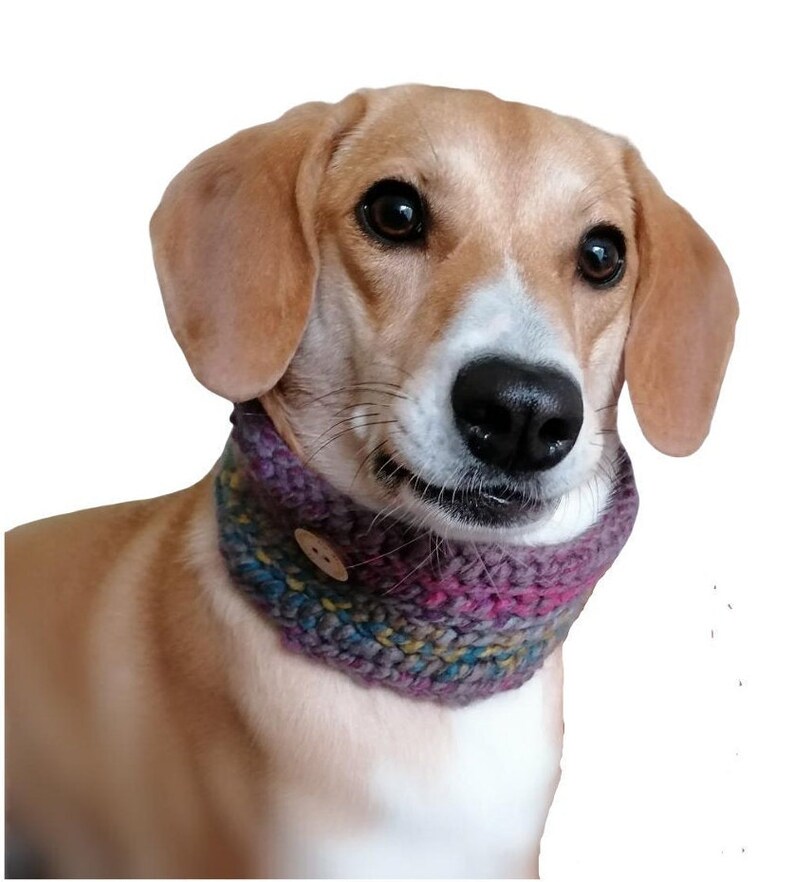 Dog Snood Dog Neck Warmer in Chunky Yarn Hand Crocheted in Etsy