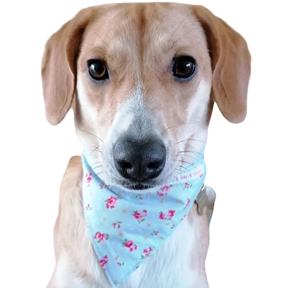 Etsy dog bandana uk Clearance
