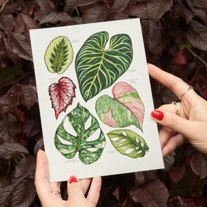 Watercolor Tropical Leaves Print: Botanical Foliage Art