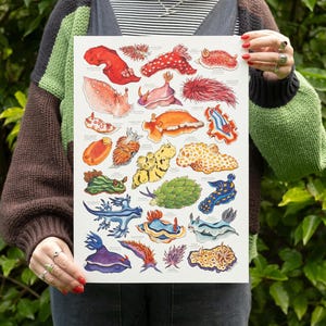 May include: A print featuring a colorful illustration of various sea slugs. The artwork showcases a variety of shapes, sizes, and vibrant colors, including red, orange, yellow, blue, and purple. The print is held by a person in front of a green leafy background.