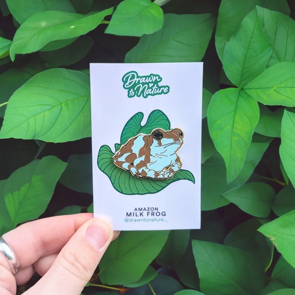 Milk Frog Pin - Amazon Milk Frog - Frog Enamel Pin - Cute Frogs - Frog Enamel Pins - Hard Enamel Pin - Animal Lover Gift - Froggo Lovers