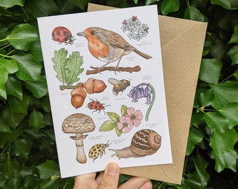 British Wildlife Card - Nature Greetings Card - Robin Card - Science Blank Card - Card Set - Nature Lover Card - Fungi Insect Snail Art