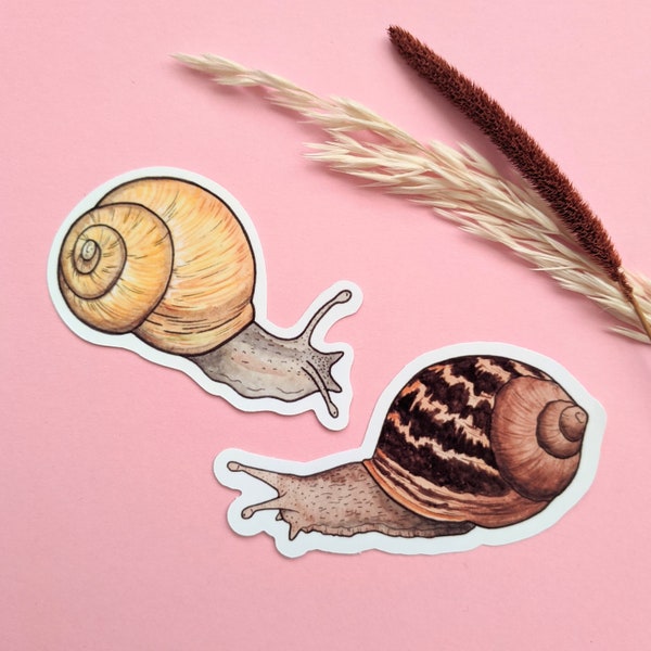 Garden Snail Sticker Set - Yellow Snail - Brown Snail - Quirky Laptop Stickers - Decorative Gardening Sticker - Colourful Nature Stickers