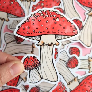 Sticker champignon - champignon vénéneux pour ordinateur portable - sticker décoratif amanite mouche - petit cadeau - rembourrage pour bas de Noël - sticker champignons
