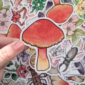 Sticker champignon écarlate - champignon waxcup rouge - pack de stickers champignon - ensemble de tabourets vénéneux fée - Stickers journal magique - album nature