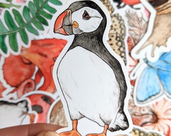 Atlantic Puffin Vinyl Sticker: Watercolor Laptop Decal