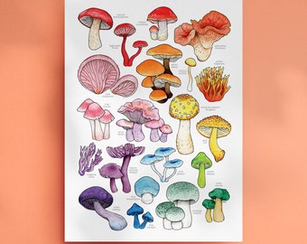 Rainbow Mushroom Print - Mushrooms Print - Toadstool Wall Art - Mushroom Decor - Botanical Print - Fungi Poster - Kitchen Home Decor