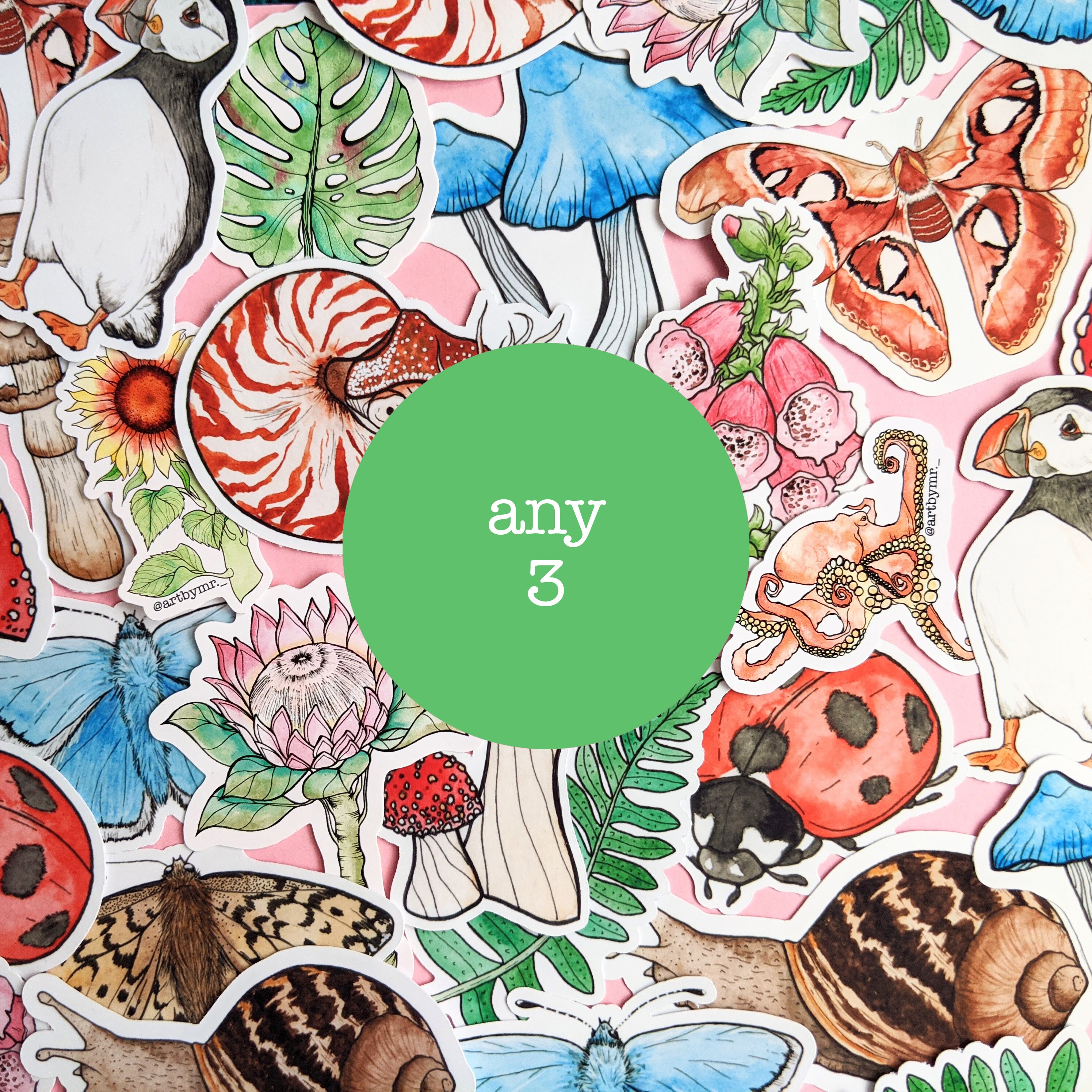 Vampire Squid Sticker: Watercolor Cephalopod, Ocean Creature - Etsy