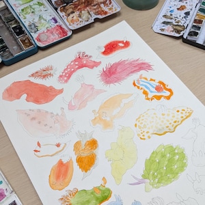 May include: Watercolor painting of various sea slugs in shades of pink, orange, yellow, and green. The artwork features detailed illustrations of the marine creatures, showcasing their unique shapes and patterns. Watercolor palettes are visible in the background.