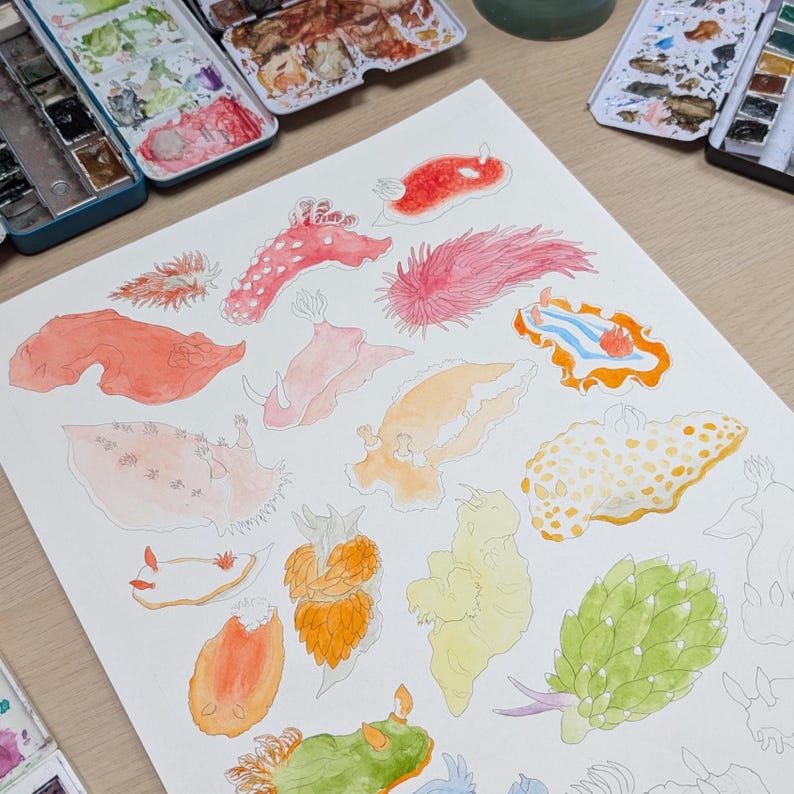 May include: Watercolor painting of various sea slugs in shades of pink, orange, yellow, and green. The artwork features detailed illustrations of the marine creatures, showcasing their unique shapes and patterns. Watercolor palettes are visible in the background.