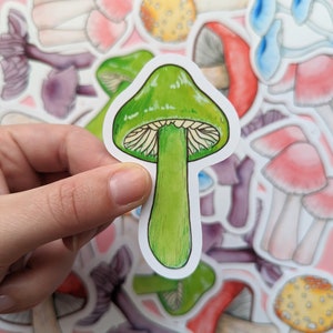 Sticker champignon champignon vénéneux perroquet - sticker champignon vert - scrapbooking champignons - champignon arc-en-ciel - agenda nature - sticker pour ordinateur portable Cottagecore