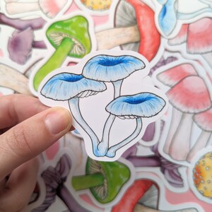 May include: A set of three blue and white mushroom stickers. The mushrooms have a whimsical, cartoon-like style.