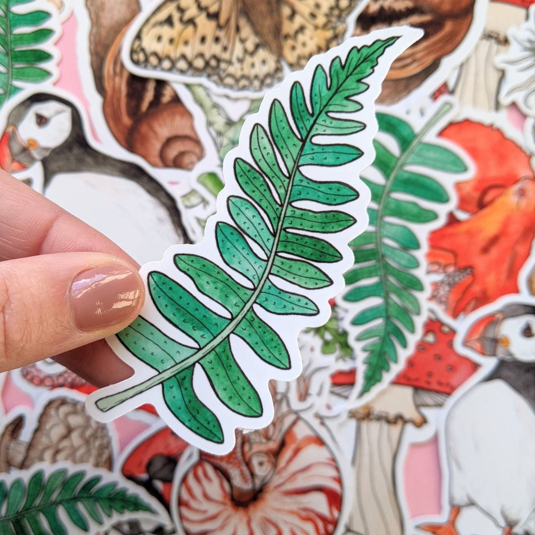 Watercolor Fern Vinyl Sticker: Leaf Art Decal - Etsy