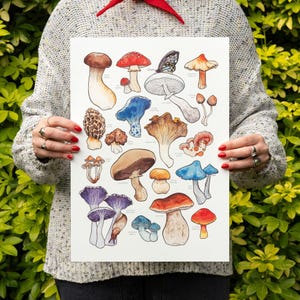 Mushrooms I Art Print: Watercolor Fungi Botanical Illustration