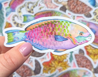 Sticker poisson perroquet arc-en-ciel - Stickers poissons tropicaux - Sticker récif de corail - Grande barrière de corail - Ensemble d'autocollants scientifiques éducatifs - Nature